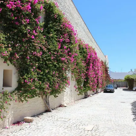 Convento Bernardas Az تافيرا